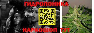 гашишное масло Будённовск